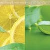 white limetta & aloe vera image