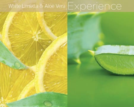 white limetta & aloe vera image