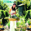 CN Garden