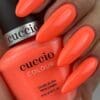 1318-Nail-Shot.jpg