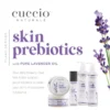 skin prebiotic collection details